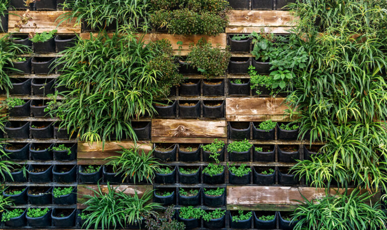Verlängerte Gartensaison trägt zum Wohlbefinden bei