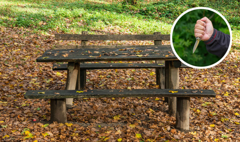 Brutale Eskalation in Wiener Parks: Zwei Männer niedergestochen
