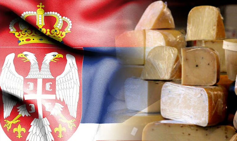 Serbien ist dabei: Das sind die zehn besten Käsesorten der Welt