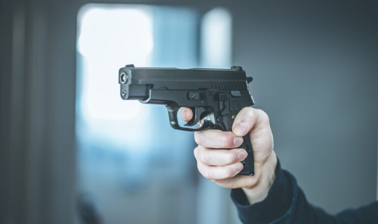 WEGA-Einsatz: 22-Jähriger bedrohte Mutter mit Schusswaffe