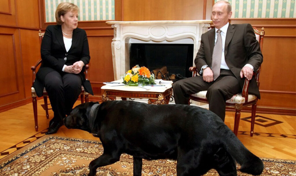 EPA-SERGEI-CHIRIKOV-846243-bundeskanzerlin-angela-merkel-wladimir-putin-praesident-labrador-koni-hund-einschuechterung-taktik