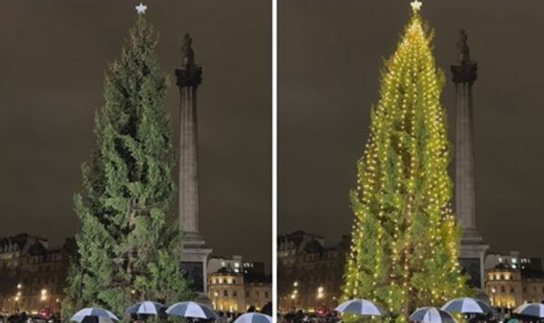 „Gurke oder Maiskolben?“: Der neue Christbaum sorgt für Lacher im Netz