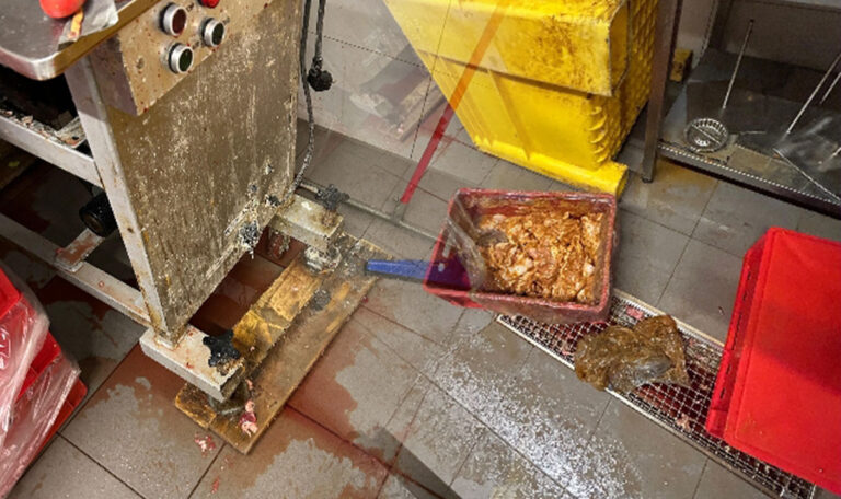 Illegale Fleischerei in Favoriten: Hunderte Kilo Fleisch vernichtet