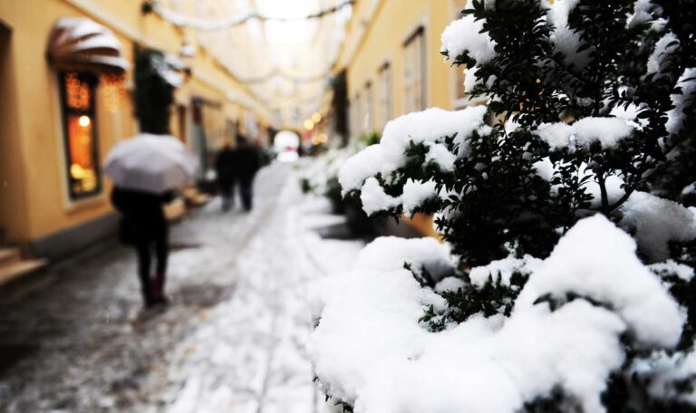 Wien versinkt im künstlichen Schnee: Industrieschnee sorgt für Winterglanz