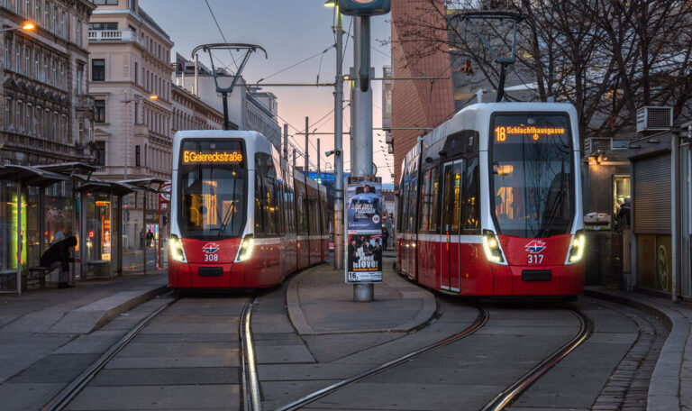 Wiens Innenstadt wird grün: Bald autofrei dank neuem Gesetz?