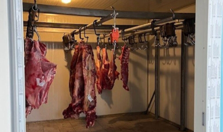 Illegale Fleischerei in Ottakring: 200 Kilo Fleisch sichergestellt
