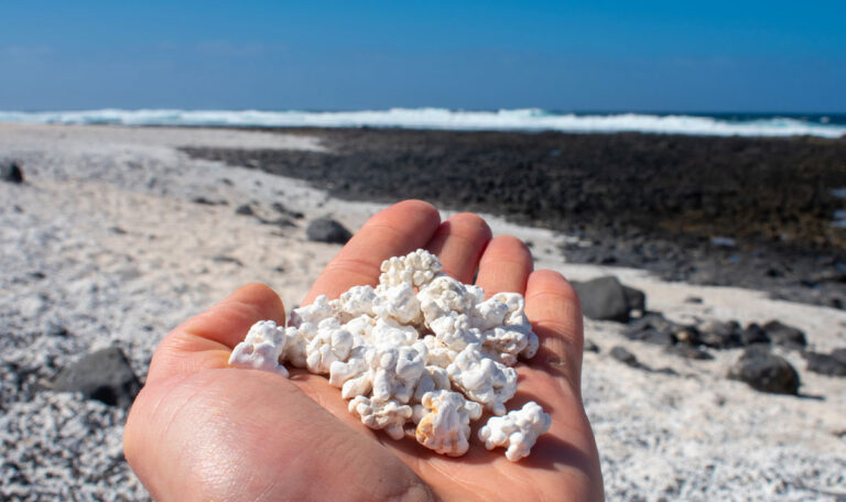 Popcorn Beach: Dieser Strand wird zum Instagram-Hotspot