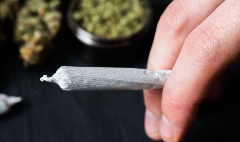 Cannabis-Studie überrascht mit Ergebnissen!
