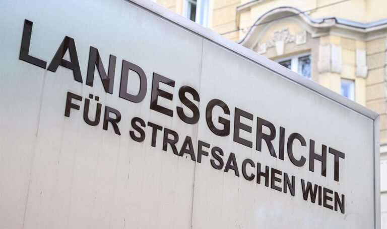 Fleischwolf-Drama in Wien: Mutter floh nach Syrien