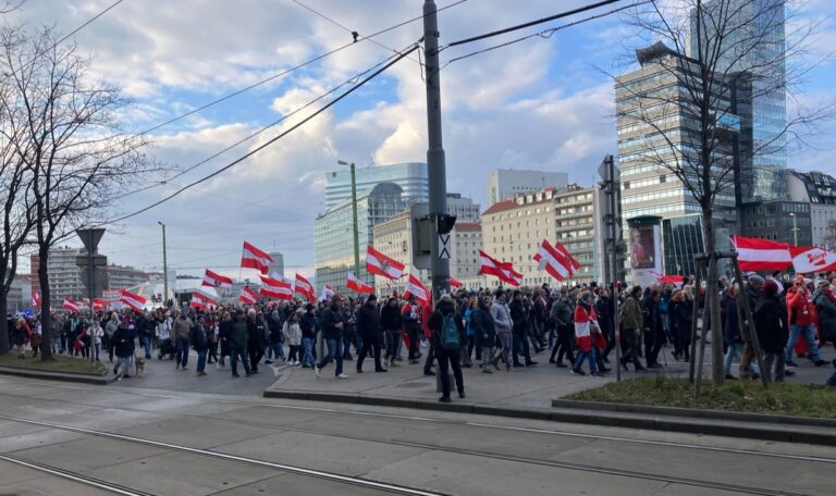 Neuwahl-Demo legte Verkehr in der Wiener City lahm (VIDEOS)