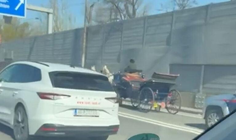 Fiaker mit Polizeieskorte sorgt auf der A22 für Aufsehen! (VIDEO)