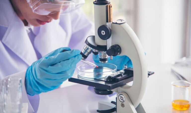 Neue Therapie lässt Krebs bei jedem Zweiten verschwinden!