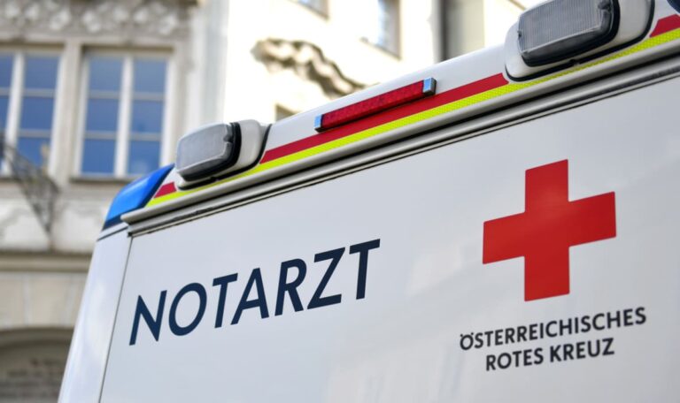 55 Fälle: Seltener Nager-Virus fordert neues Todesopfer