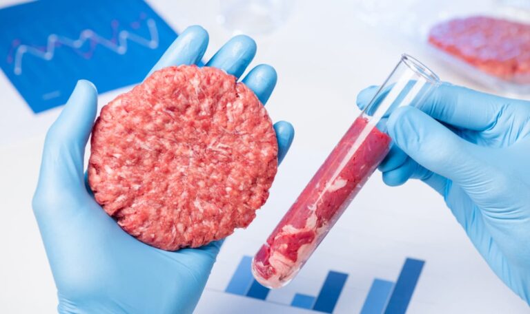 Laborfleisch kommt nach Europa – was ihr wissen müsst