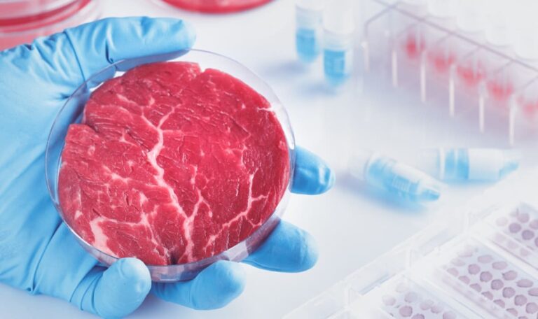 Fleisch aus dem Labor: Österreichs Kampf gegen EU-Zulassung