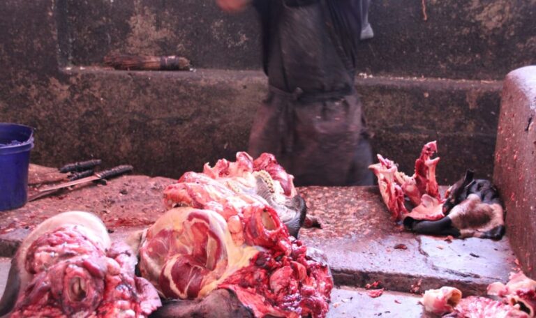 Schlachthof des Grauens: Hier landeten kranke Tiere in Asia-Restaurants