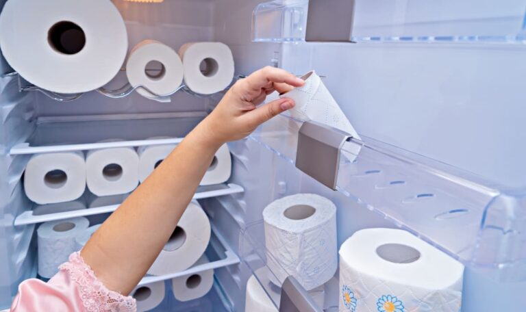 Genialer Trick: Warum Toilettenpapier in den Kühlschrank gehört