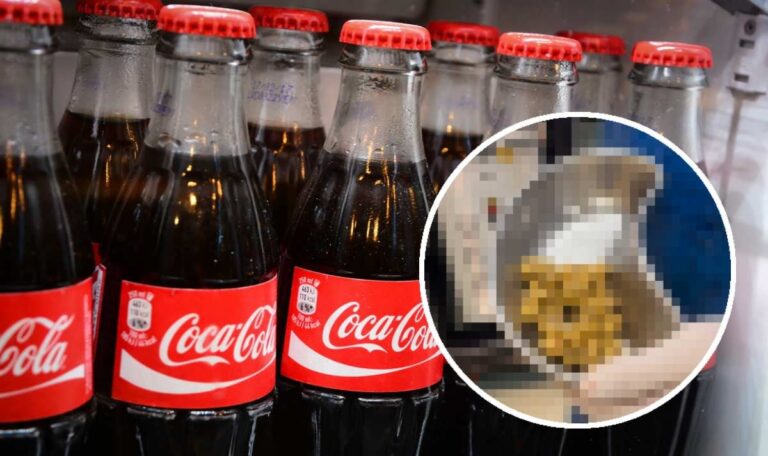 Drei Liter täglich: Arzt entfernt 35 würfelförmige Nierensteine (VIDEO)