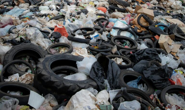 EU Green Week Schockbilanz: Jeder EU-Bürger wirft 72 Kilo Lebensmittel in den Müll