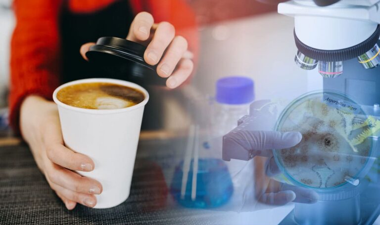 Unsichtbare Gefahr: So kann ein Kaffeebecher Krebs auslösen