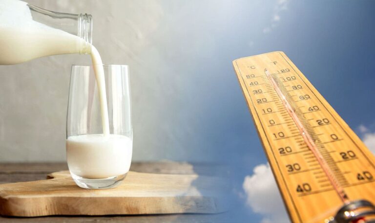 Experten überrascht: Nicht Wasser ist der beste Durstlöscher bei Hitze