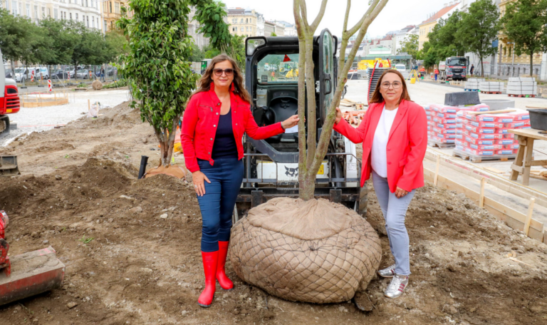 Hitze-Insel wird grünes Paradies: 70 Bäume erobern Wiener Asphalt