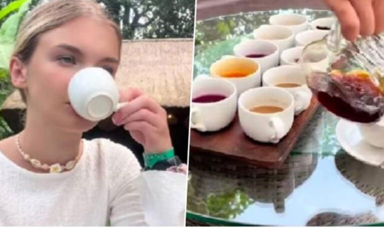 Serbische Influenzerin schlürft Katzenkot-Kaffee auf Bali (VIDEO)