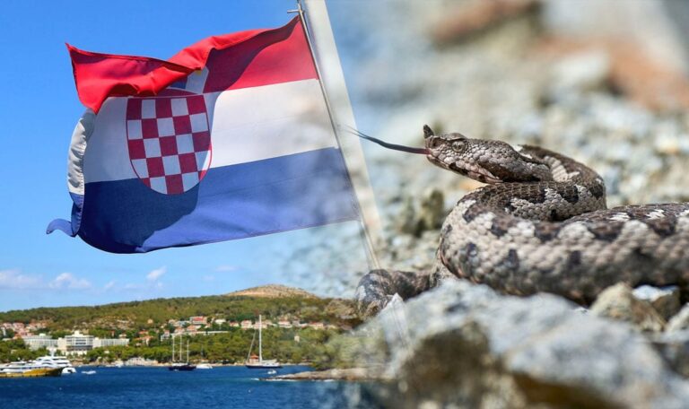 Urlaubsdrama in Pula: Siebenjähriger wird von giftiger Schlange gebissen