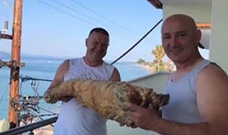 Serben-Duo reist mit gebratenem ganzen Lamm zum Urlaubsstrand (FOTO)