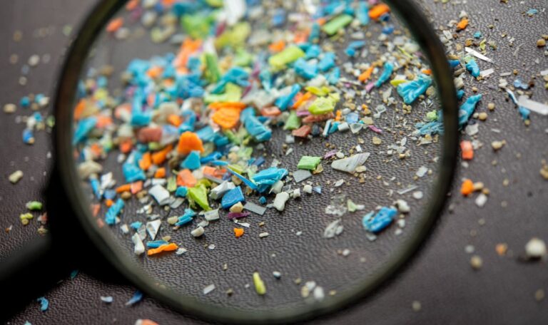 Experten schlagen Alarm: Wir essen jede Woche eine Kreditkarte