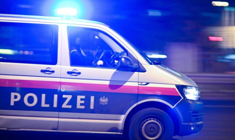 Ehefrau vor Kindern getötet: Polizei kannte Täter seit Jahren – trotzdem starb Zlatica