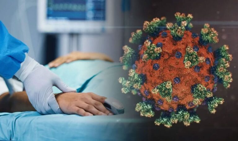Rasanter Anstieg: Tropenvirus legt Stadt lahm