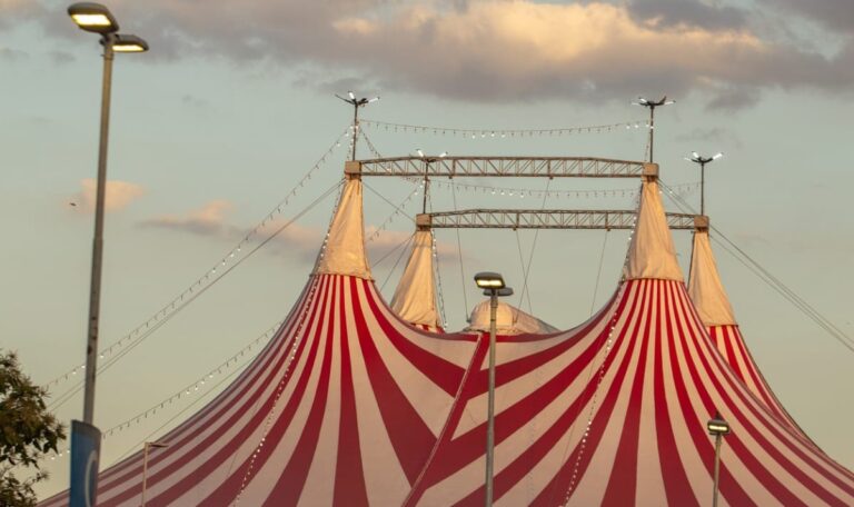 Horror in der Manege: Zirkus-Artistin stürzt vor Kindern in den Tod