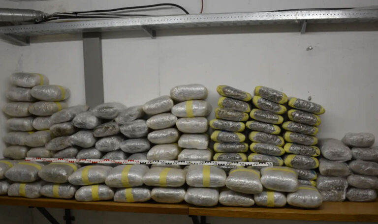 Albanische Drogenbande mit 48 Festnahmen gesprengt!