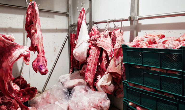 Europol-Razzia : 11 Millionen Kilo Ekelfleisch in Restaurants serviert