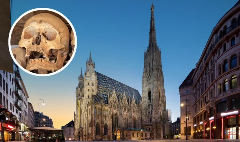 Deutscher schickt Schädel per Post an den Stephansdom