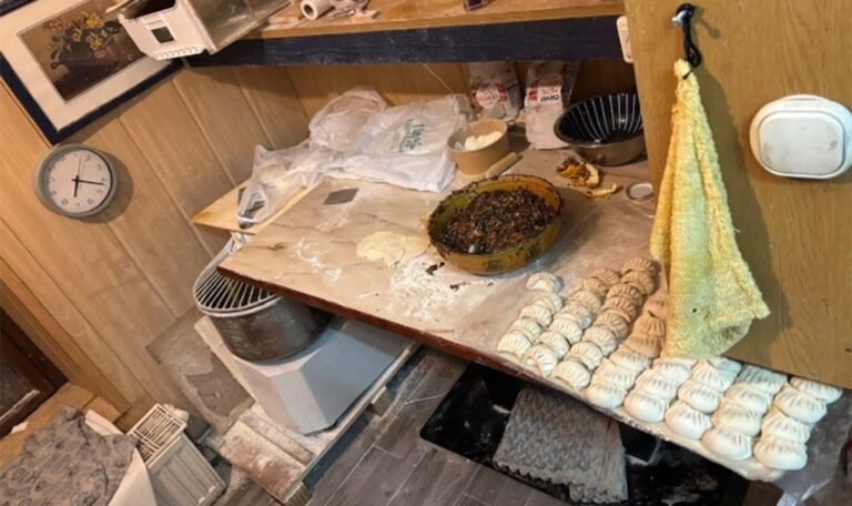 Mäuse-Alarm in Asia-Lokal: Behörde entdeckt illegale Teigtascherl-Fabrik (FOTOS)