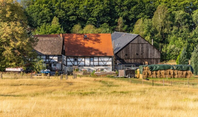 Schock in Vorarlberg: 78-Jährige getötet – eigene Tochter in Haft