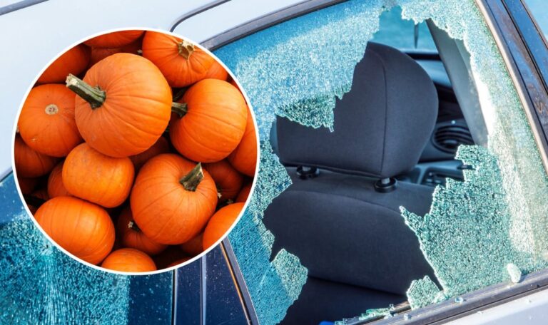 Kürbis-Terror in Bruck: Quartett verwüstet 28 Autos – 50.000 Euro Schaden