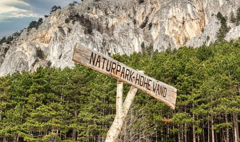 Wiener stürzt in den Tod – Leiche Stunden später entdeckt
