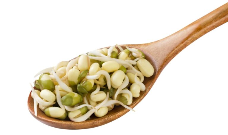 Achtung! Produktrückruf: Diese Bio-Sprossen können krank machen