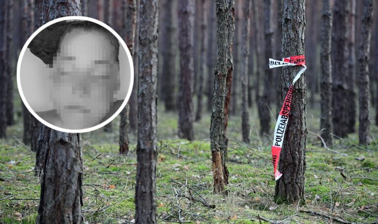 Frauenleiche im Wald: 200 Beamte suchen fieberhaft nach Hinweisen
