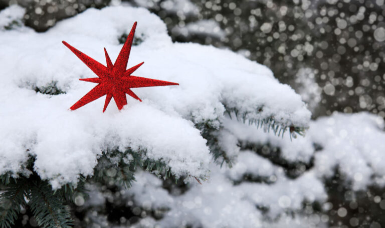 Diese Bauernregel verrät, ob es zu Weihnachten Schnee geben wird!