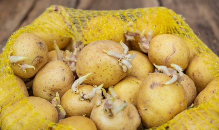 Gewürz-Trick: So bleiben deine Kartoffeln wochenlang keimfrei
