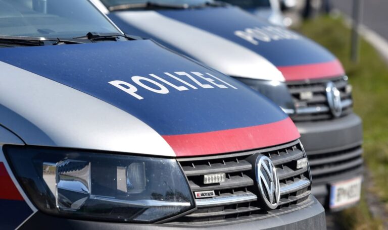Zeuge wird zum Helden: Katalysator-Diebe in Simmering geschnappt