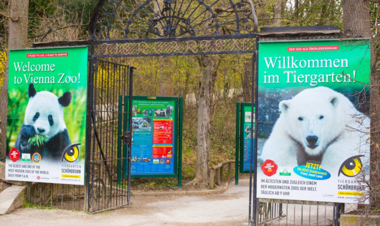 Zoo Schönbrunn überrascht mit Gratis-Programm!