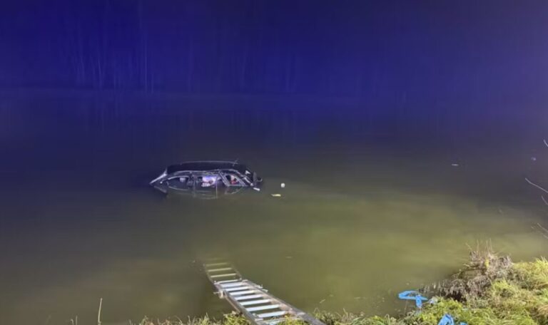 68-Jährige landet mit Auto im Fischteich – Frau und Hund gerettet
