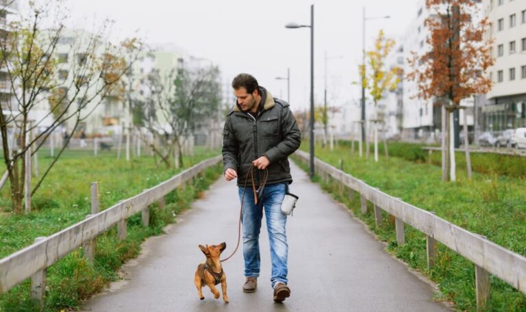 Diskriminierend!“ Wiener Hundebesitzer rebellieren gegen 160-Euro-Abgabe