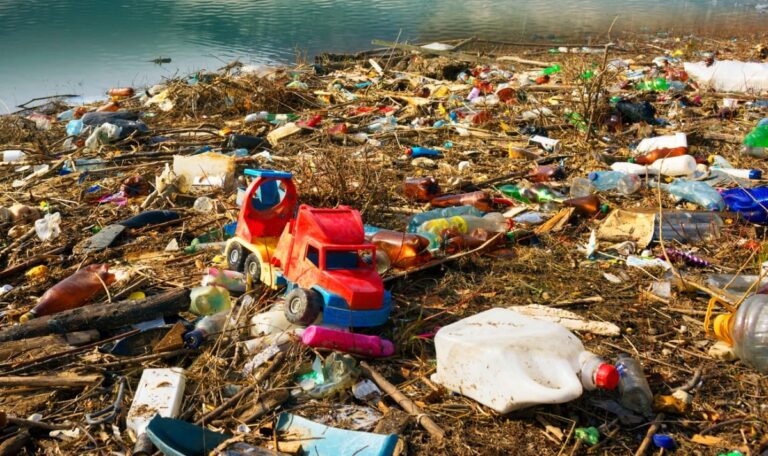 Mikroplastik in unserem Essen – Experten streiten über Folgen