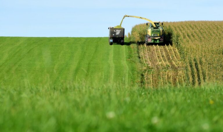 Rekord bei Sonnenblumen, Debakel bei Zuckerrüben – Landwirtschaft im Umbruch